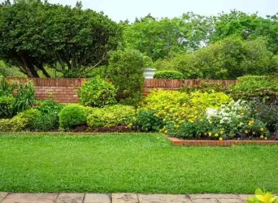 landscaping services East Orange